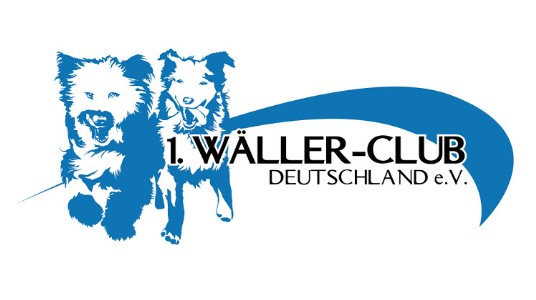 Logo 1. WCD